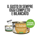 Schesir Cat Adult Tonnetto con pollo jelly 85g