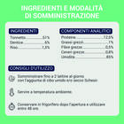 Schesir Cat Jelly Tonnetto con Dentice 70g