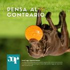 Joepet Dog Adult Bio Veg Olio 250 ml