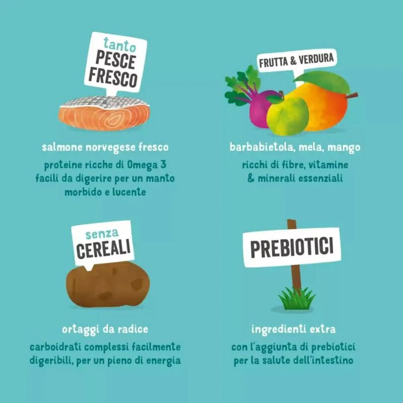 Edgard & Cooper Dog Adult Large Breed Salmone 12 kg