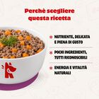 Real Bowl Rag&ugrave; per gatti adulti con Agnello 80 gr
