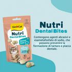 Gimcat Nutri Dental Bites per gatti Erba gatta 40 gr