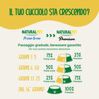 Naturalpet Premium Dog Mini alla Trota Light In Fat 2 kg