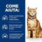 Hill's Prescription Diet Cat c/d Multicare Urinary Care Spezzatino con Pollo e Verdure 82 gr