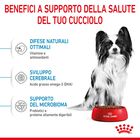 Royal Canin Dog Puppy X-Small 1,5 kg