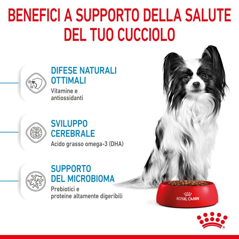 Royal Canin Dog Puppy X-Small 1,5 kg
