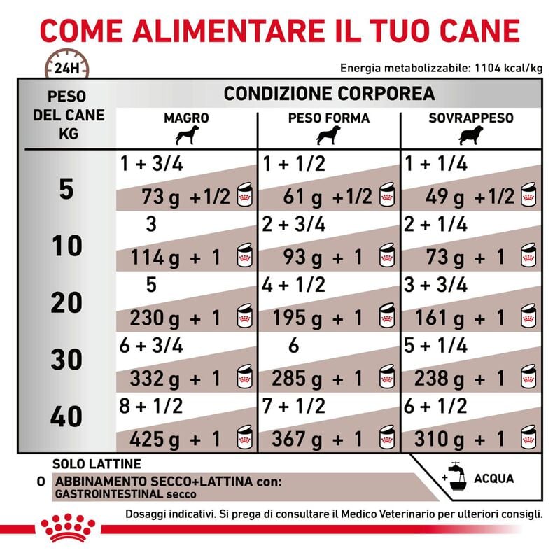 Royal Canin Veterinary Diet Dog Adult Gastrointestinal 400 gr