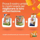 N&D Farmina Pumpkin Dog Adult Medium & Maxi Cinghiale e Mela 12 kg