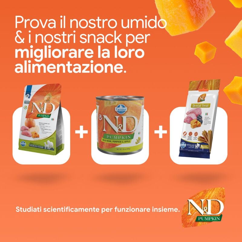 N&D Farmina Pumpkin Dog Adult Medium & Maxi Cinghiale e Mela 12 kg