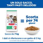 Hill's Sience Plan Kitten al Salmone 1,5 kg