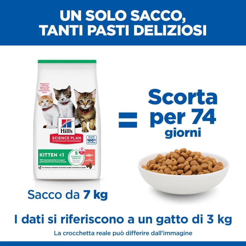Hill's Sience Plan Kitten al Salmone 1,5 kg