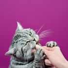 Whiskas Cat Adult stick Salmone 3 pz 18 gr