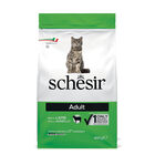 Schesir Cat Adult Ricco in Agnello 400 gr image number 0