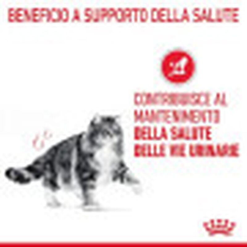 Royal Canin Cat Adult Urinary Care 400 gr