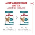 Royal Canin Cat Senior Ageing +11 anni 2 kg