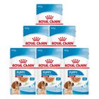 Royal Canin Dog Medium Puppy 140 gr