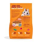 Edgard & Cooper Cat Adult al Pollo 2 kg