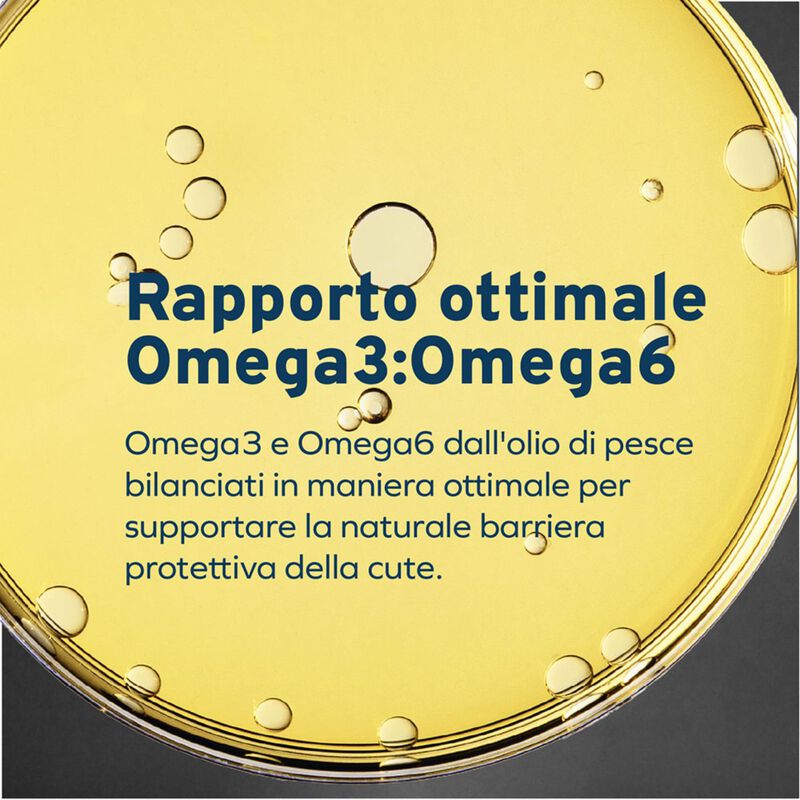 Forza 10 Active Vet Diet Urinary per gatti adulti al Pesce 1,5 kg