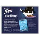 Felix Le Ghiottonerie Cat Le Preferite con Manzo, Pollo, Salmone e Tonno 12 x 85 gr