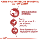 Royal Canin Cat Adult Instinctive Gravy 85 gr