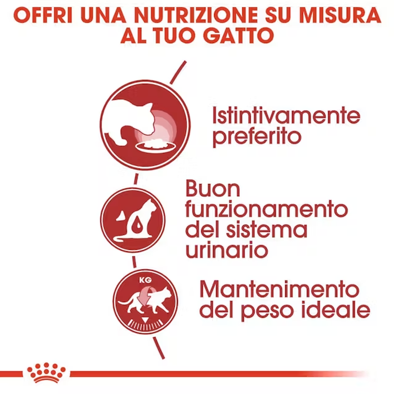 Royal Canin Cat Adult Instinctive Gravy 85 gr