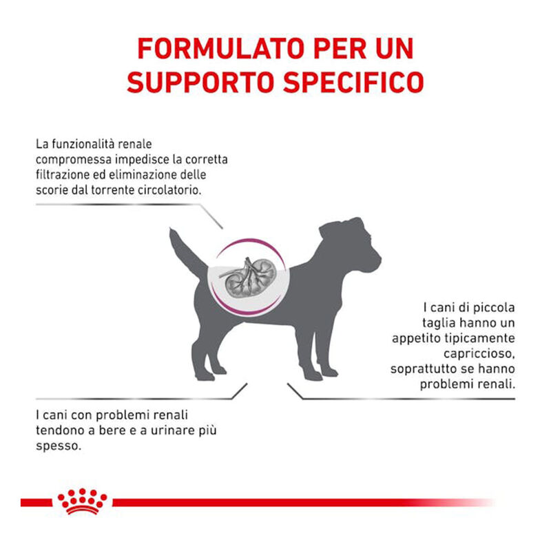 Royal Canin Veterinary Diet Dog Small Renal 500gr