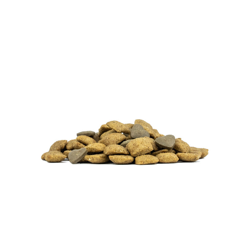 Forza10 Active Vet Diet Dog Adult Dermo 10 kg