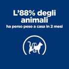 Hill's Prescription Diet Cat Metabolic Weight & Diabetes Management con Pollo 8 kg