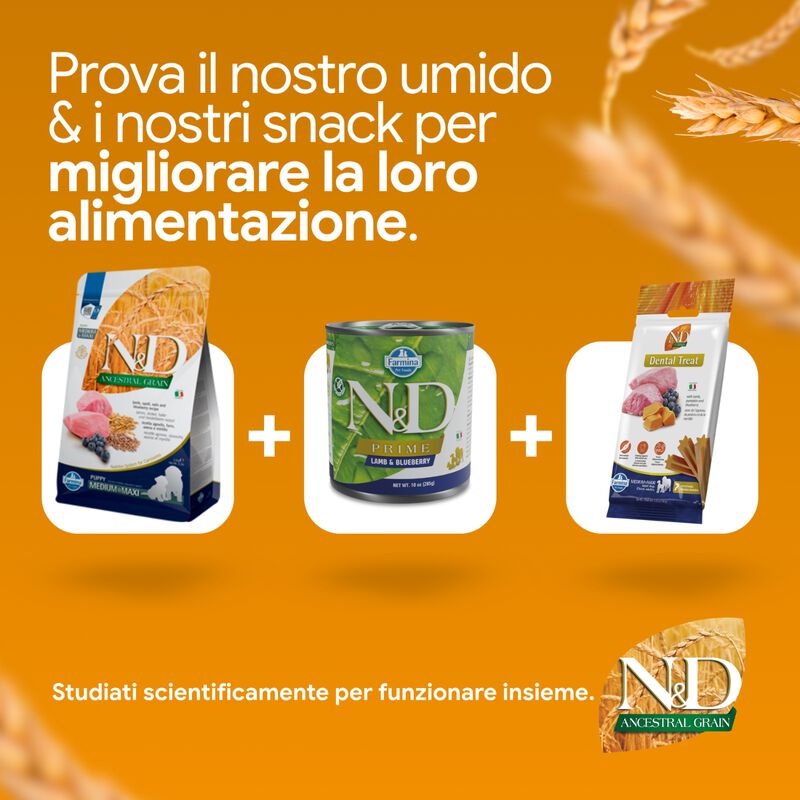 N&D Farmina Ancestral Grain Puppy Medium & Maxi Agnello e Mirtillo 2,5 kg