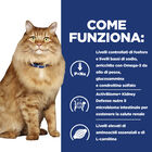 Hill's Prescription Diet Cat k/d + Mobility spezzatino con pollo e verdure aggiunte 82gr