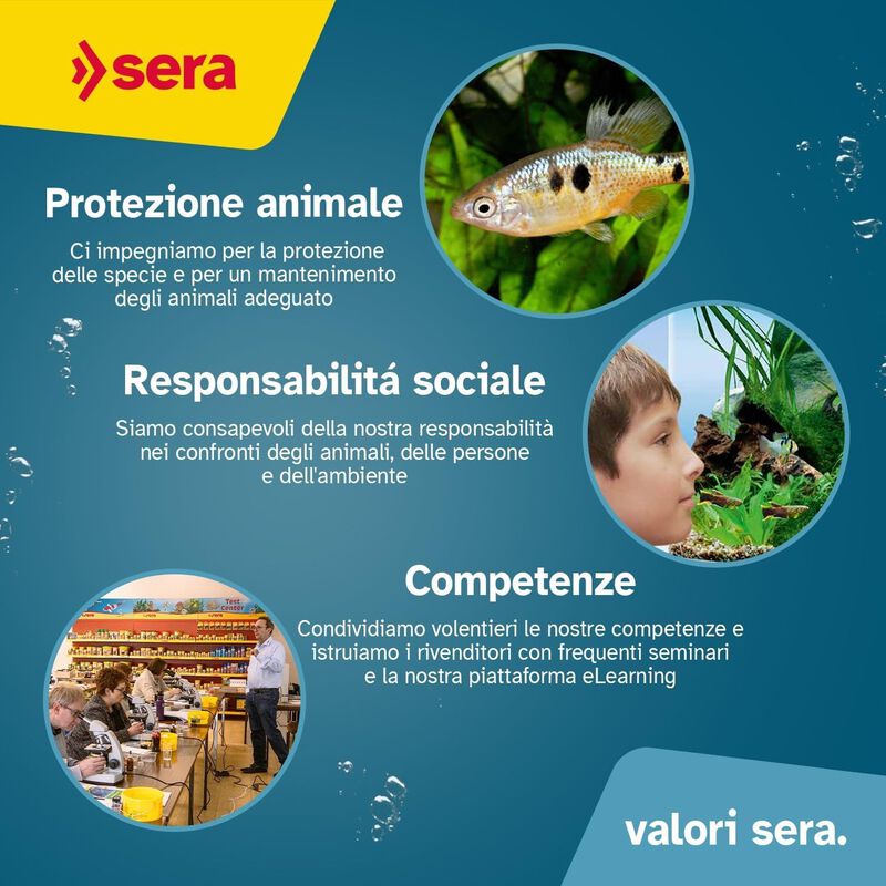 Sera Quick Test 5 in 1