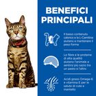 Hill's Science Plan Cat Light con Pesce Oceanico 85 gr