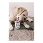 Dog's Love Insetto puro 400gr