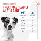 Royal Canin Training Treats 110 g