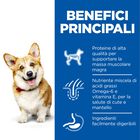 Hill's Science Plan Dog Small & Mini Adult con Pollo 1,5 kg