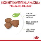 Royal Canin Dog Mini Puppy 8 kg