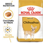 Royal Canin Dog Adult e Senior Chihuahua 1,5 kg