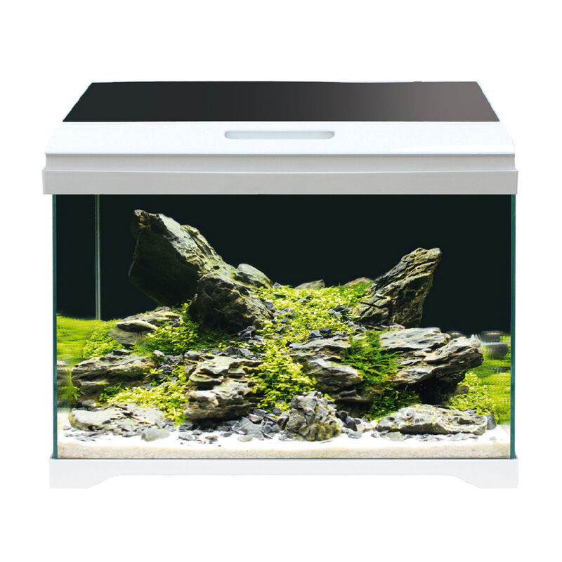 Amtra Modern Tank acquario 40 Led