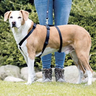 Trixie Pettorina antipanico Stay Tg.M-L