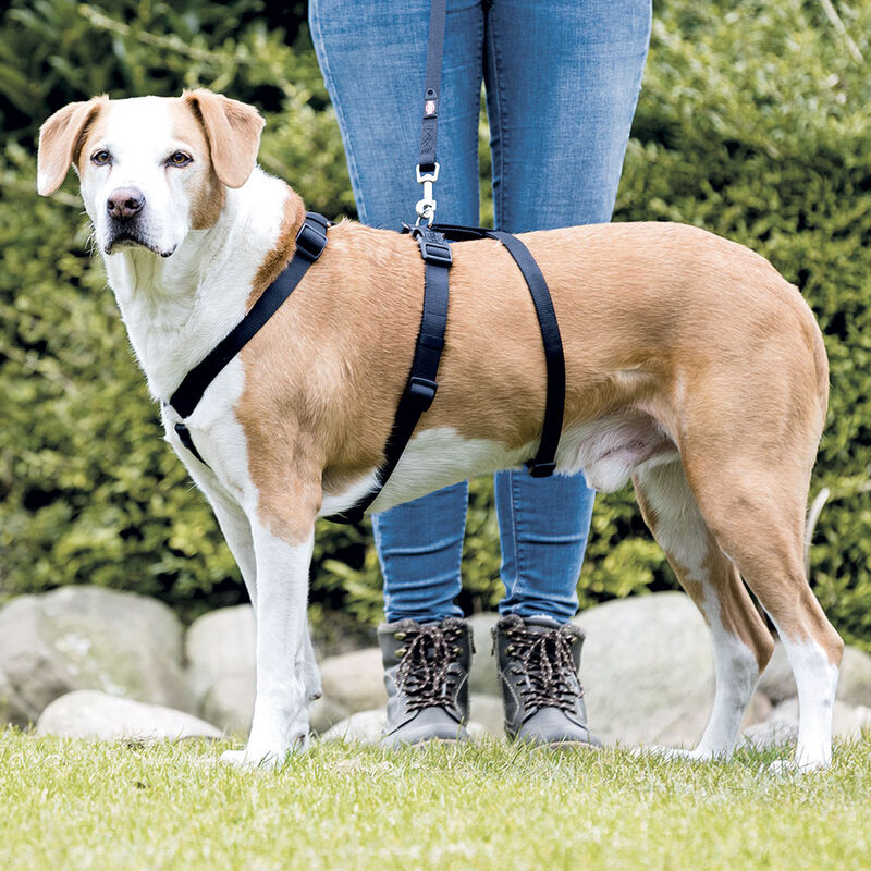 Trixie Pettorina antipanico Stay Tg.M-L