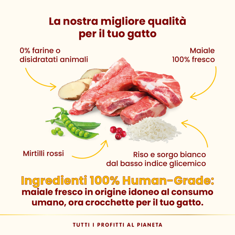 Almo Nature HFC Cat Adult Sterilsed Maiale 1,2kg