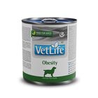 Farmina Vet Life Diet Dog Obesity 300 gr