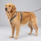 Trixie Premium Pettorina ad H Color Petrolio Tg M-L