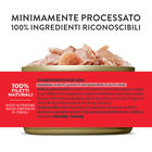 Schesir Cat Adult Tonnetto con gamberetti jelly 85g