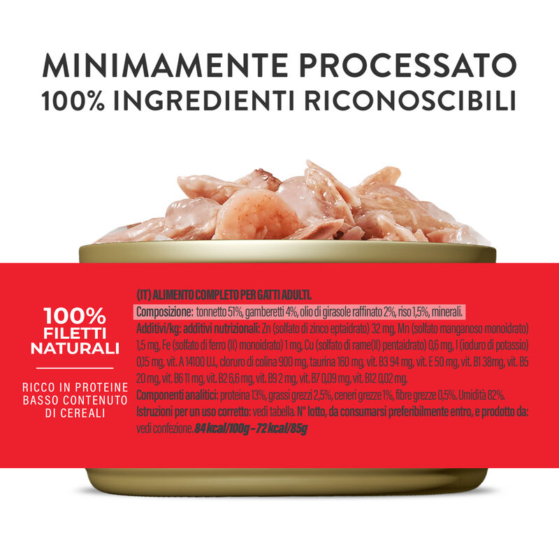 Schesir Cat Adult Tonnetto con gamberetti jelly 85g