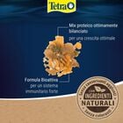 TetraMin Flakes 100 ml