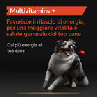 Purina Pro Plan Supplements Dog Adult Multivitamin 45 compresse