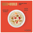 Schesir Taste the World Dog Adult Asian Stir Fry in brodo 150gr