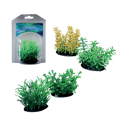 Blu Bios Pianta decorativa Bunch 8 cm