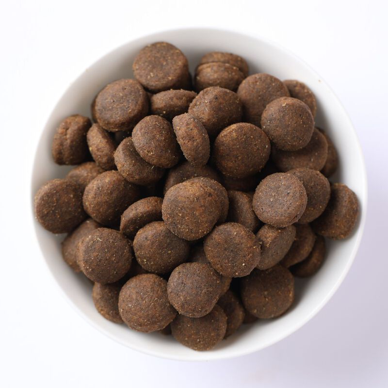 N&D Farmina Ancestral Grain Puppy Medium & Maxi Agnello e Mirtillo 12 kg